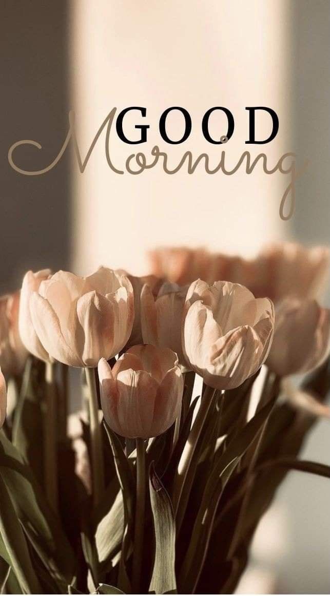 good morning images