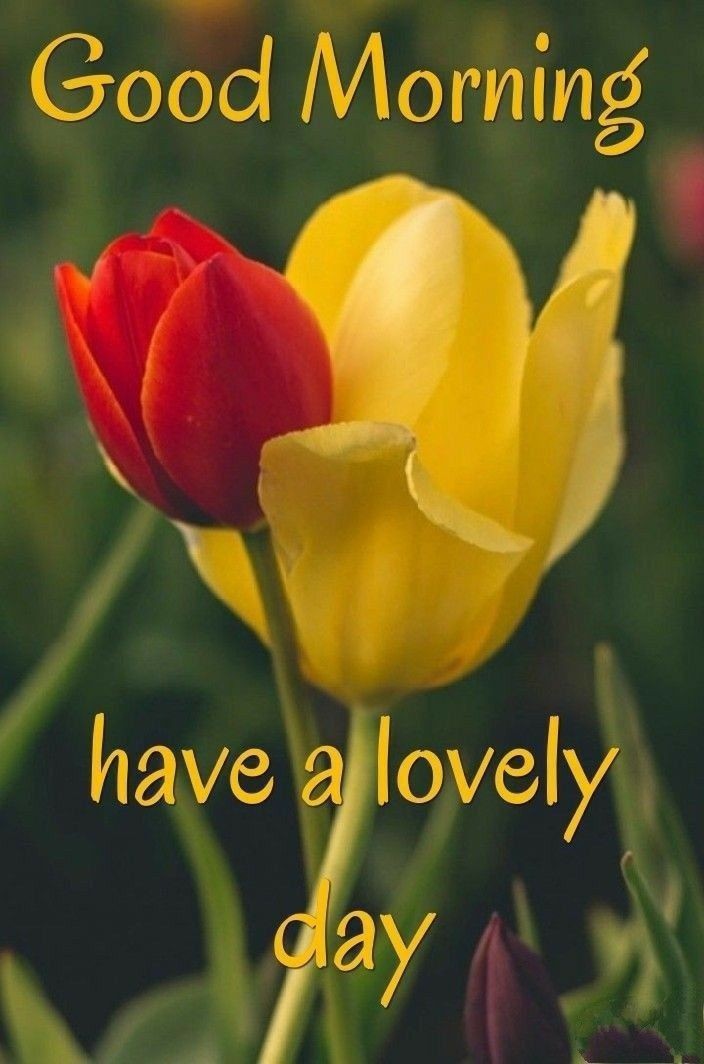 good morning images