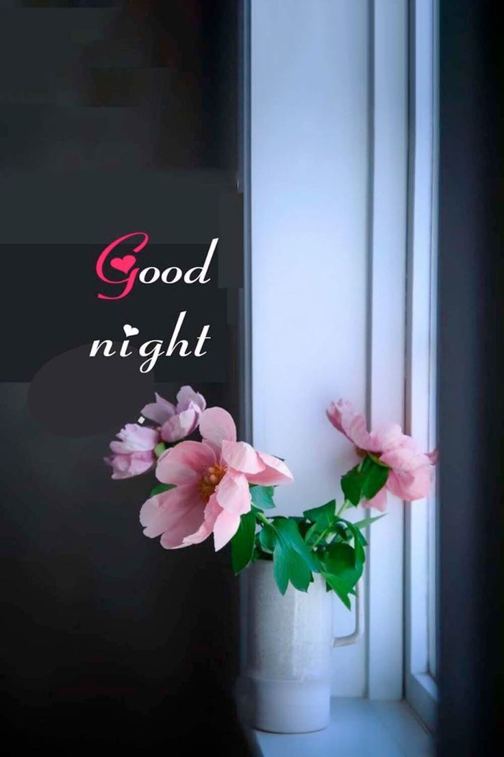 good night images good night images