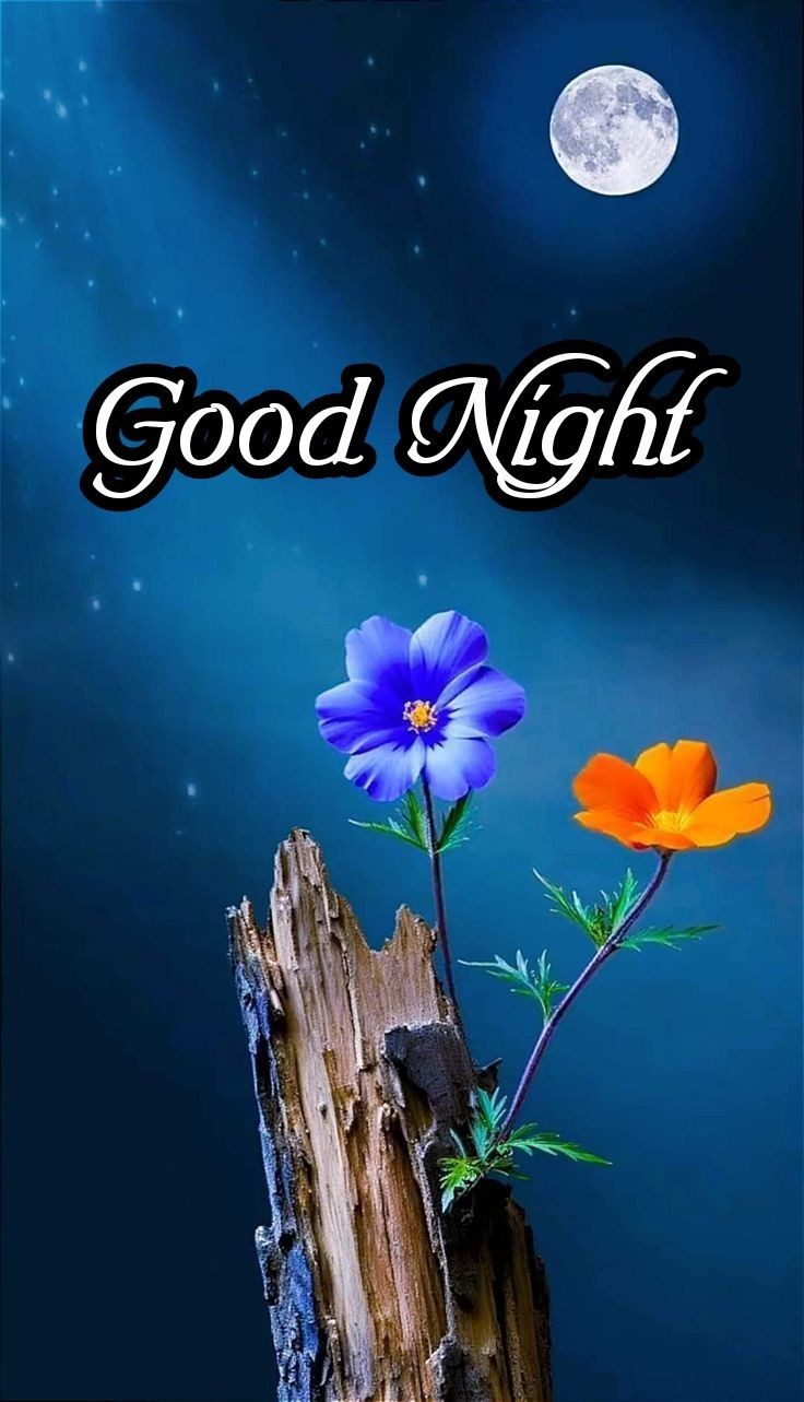 good night images good night images