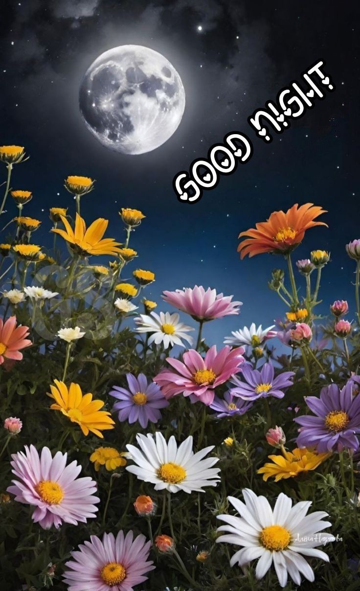 good night images good night images