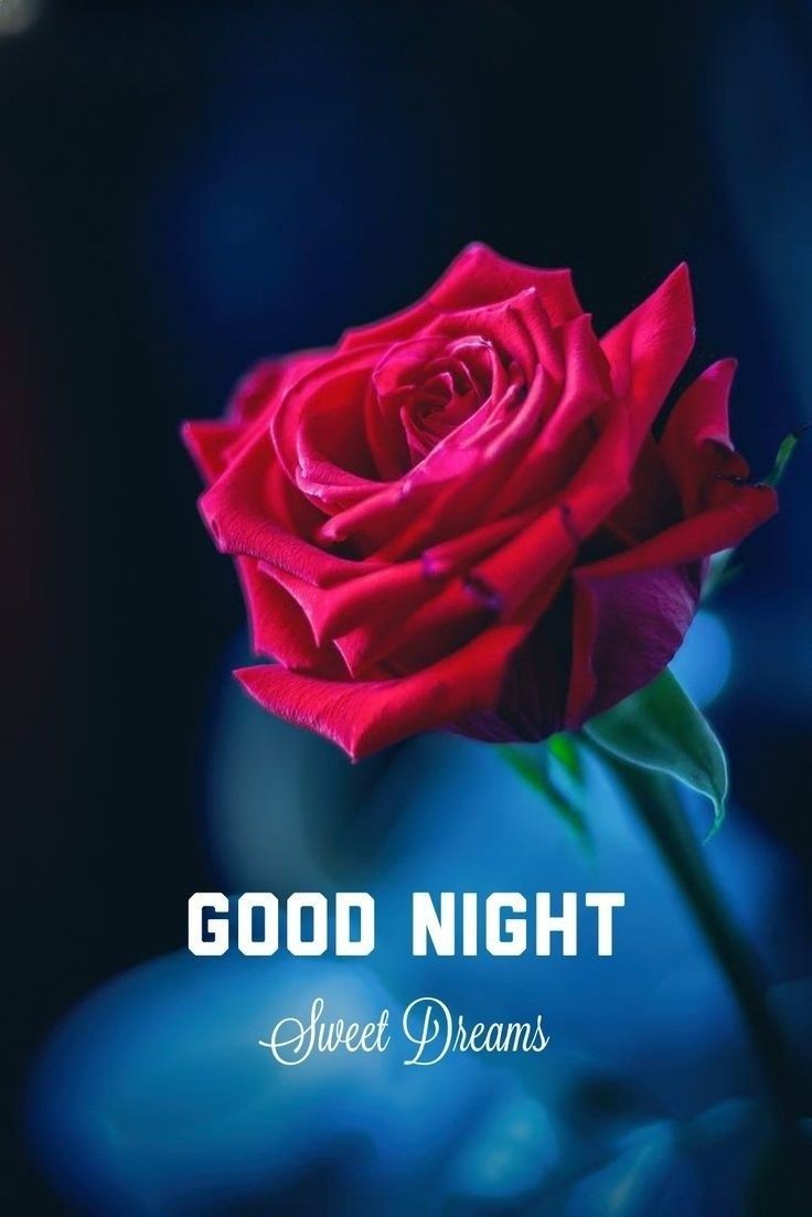 good night images good night images
