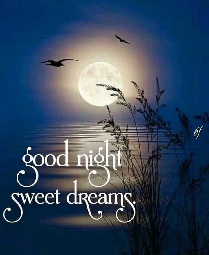 good night images good night images