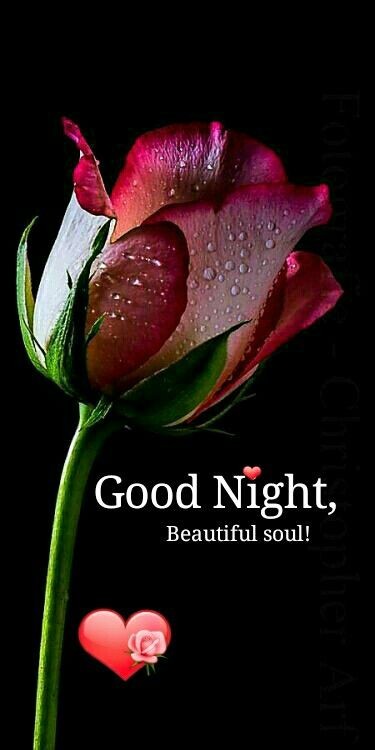 good night images good night images