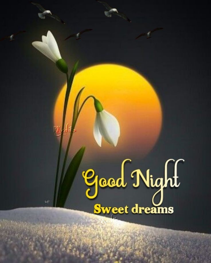 good night images good night images