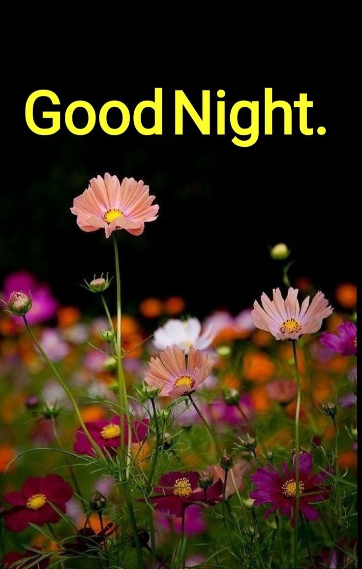 good night images