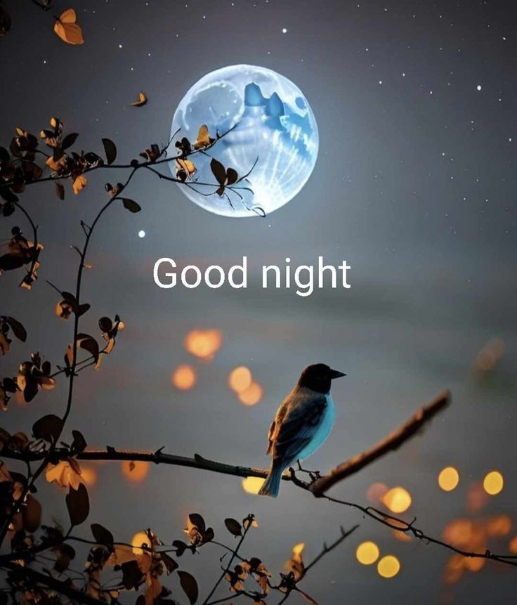 good night images
