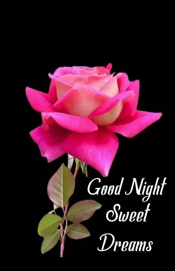 good night images good night images