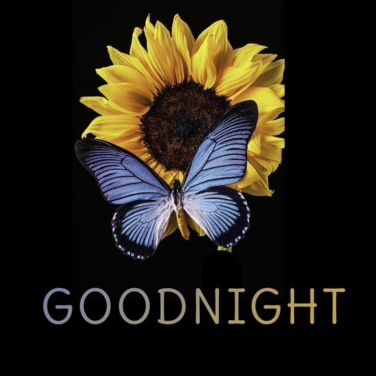 good night images good night images