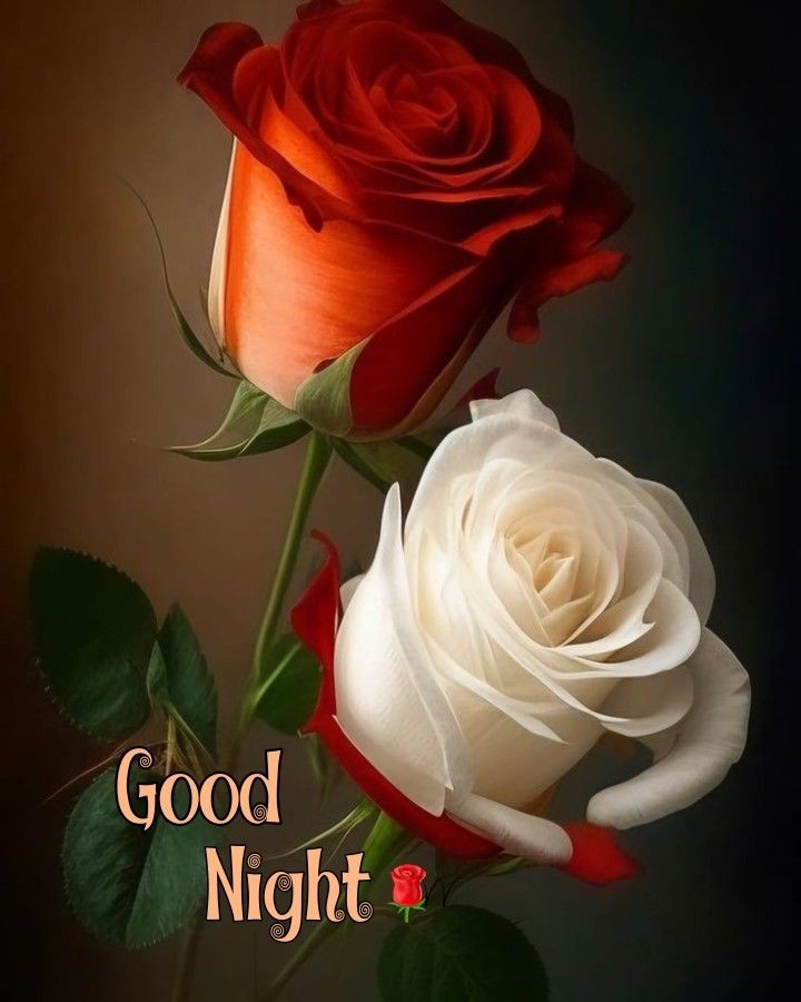 good night images good night images