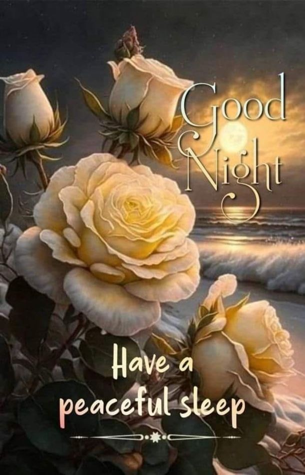 good night images good night images