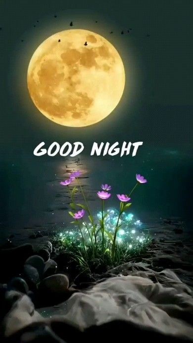 good night images good night images