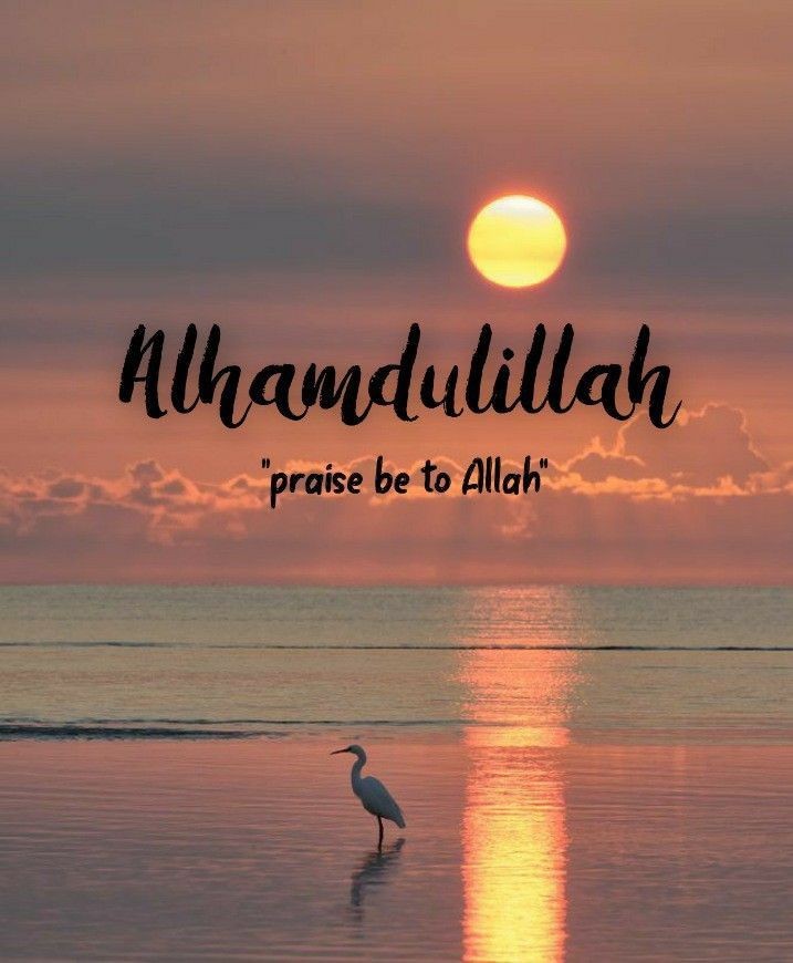 islamic dp islamic dp